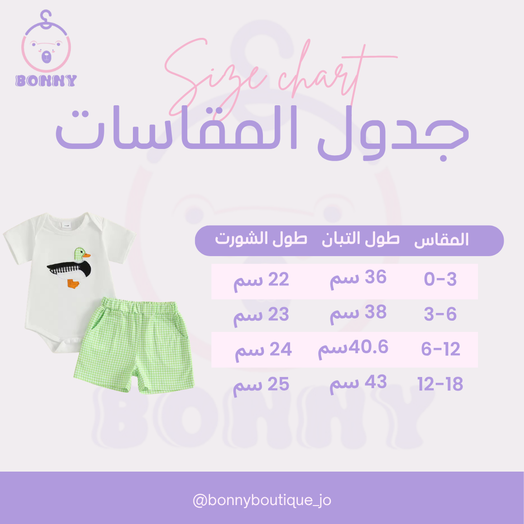 Baby Boy Duck Embroidery Set with Gingham Shorts