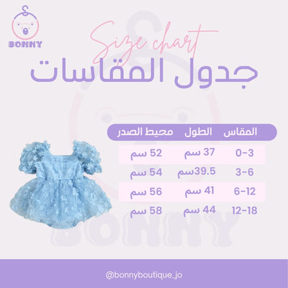 Baby Girl Blue 3D Flower Tulle Dress Romper Set