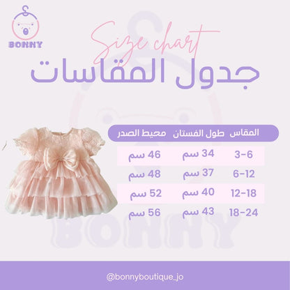 Royal Occasion Elegant Dress