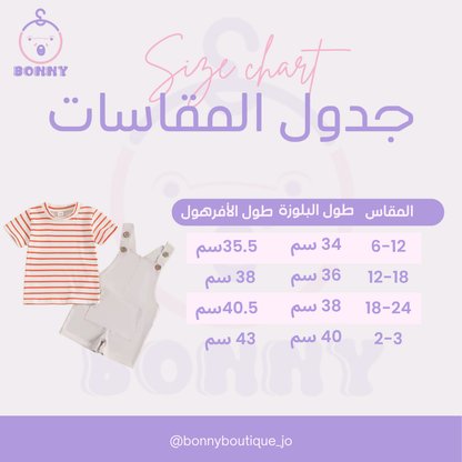 Baby Boy Striped T-shirt & Overall Romper Set